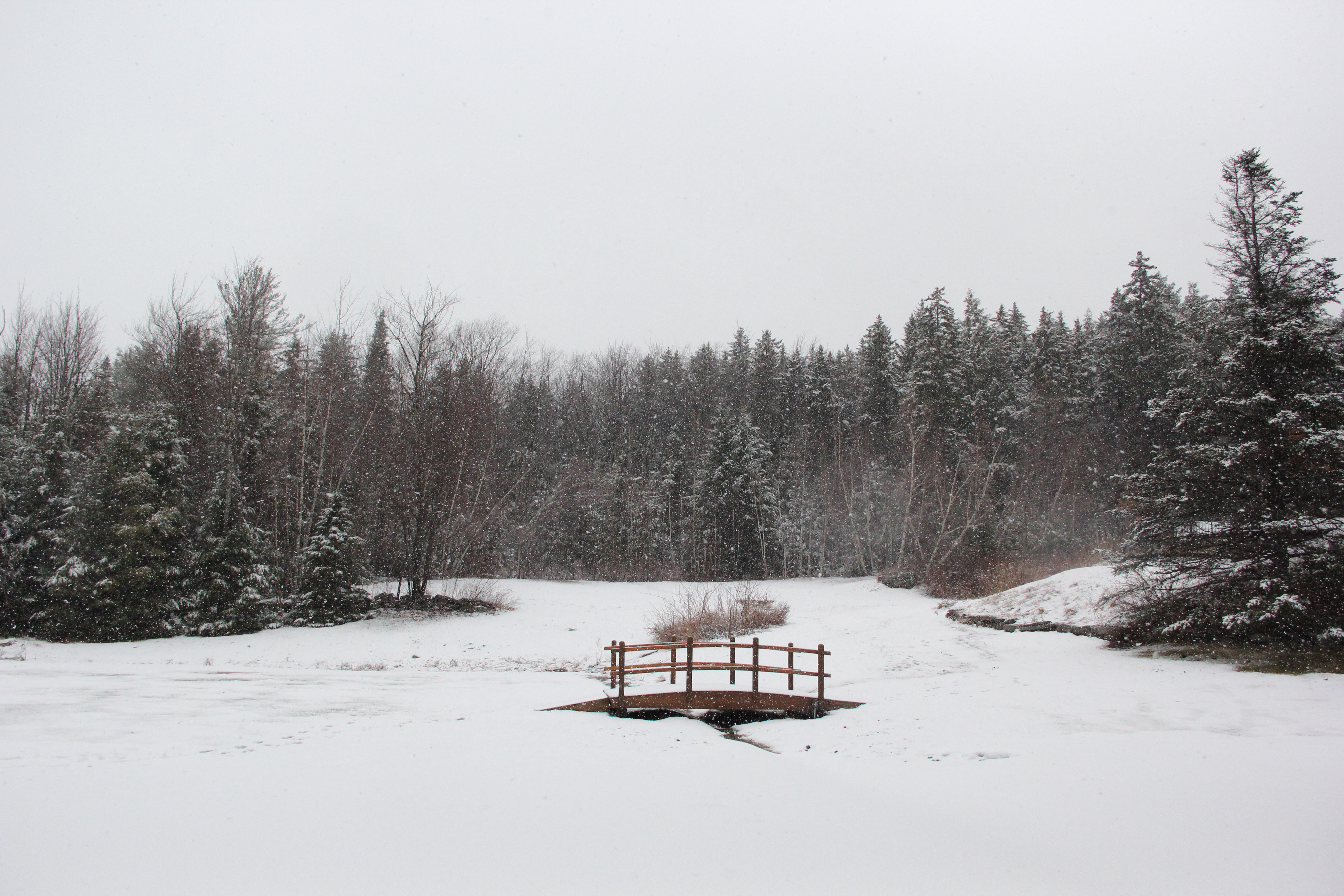 Mount Snow, January